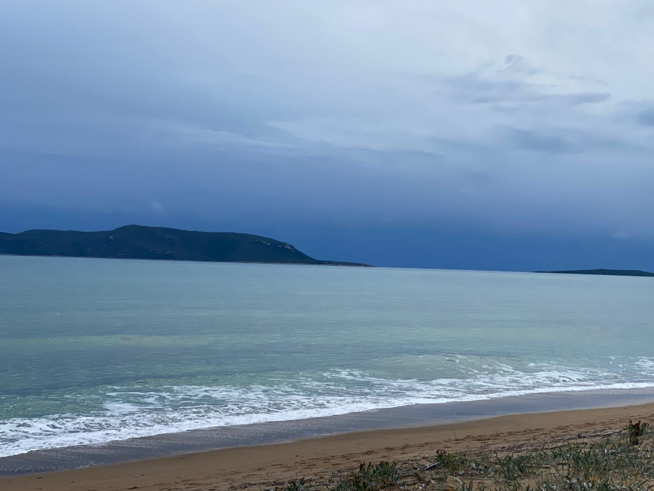 RESERVIERT – Olivengrundstück am Meer in Finikounda – zur Miete – Ansicht 3